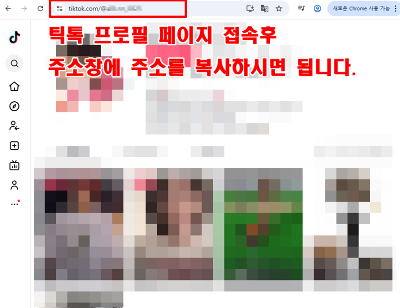 틱톡1.png